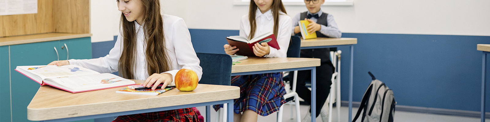 Maestría en Educación Especial