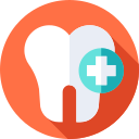 Doctor en Odontología